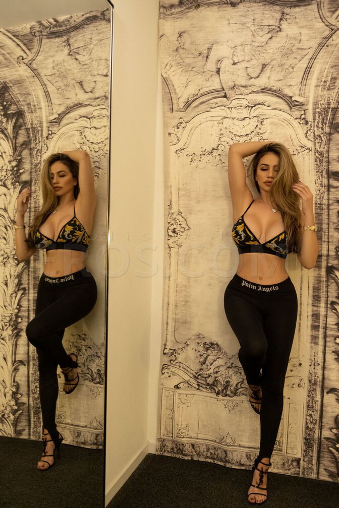 Sabella